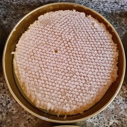 Oğul Petek Balı 1 Kg