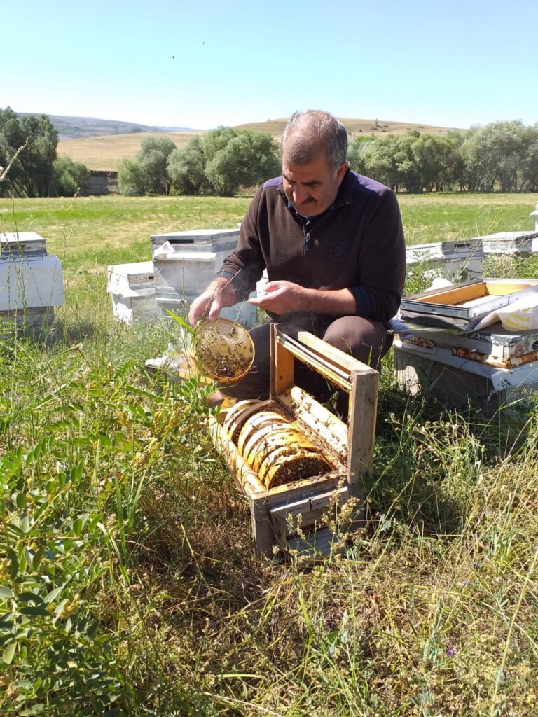 oğul balı1